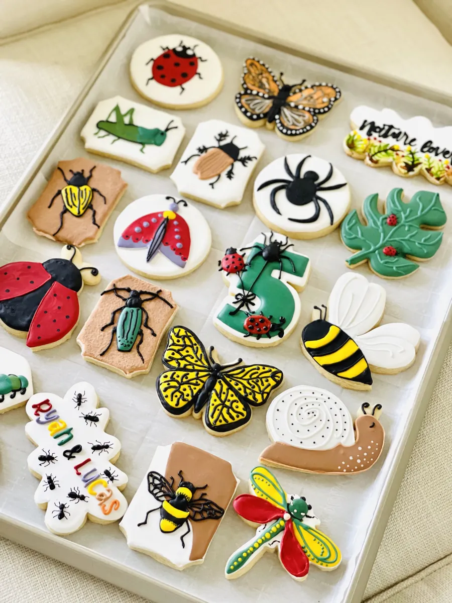 Bug and insect themed birthday cookies including ladybugs, butterflies, bee, spider and snail